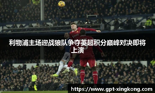 星空体育在线官网